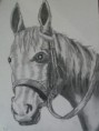 /album/fotogaleria-dibujos/a100-2744-copia-jpg/